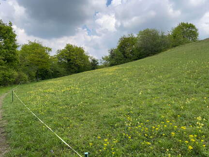 22-04-25 13-59-34 0635